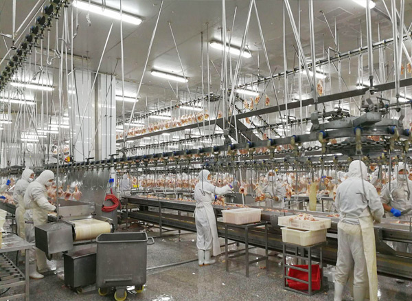 屠宰设备选型的基本原则和主要依据