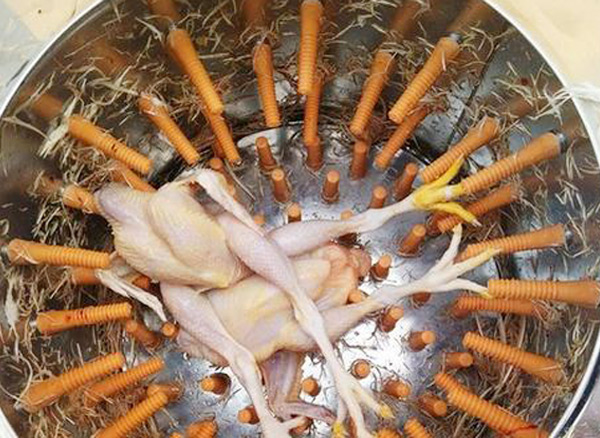 脱毛机的注意事项